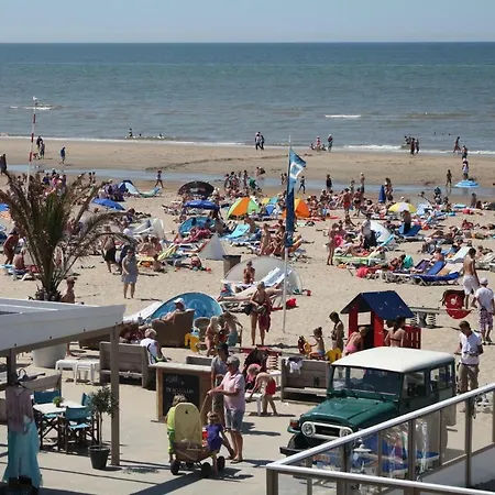 Chimpaanzee Beach Zandvoort